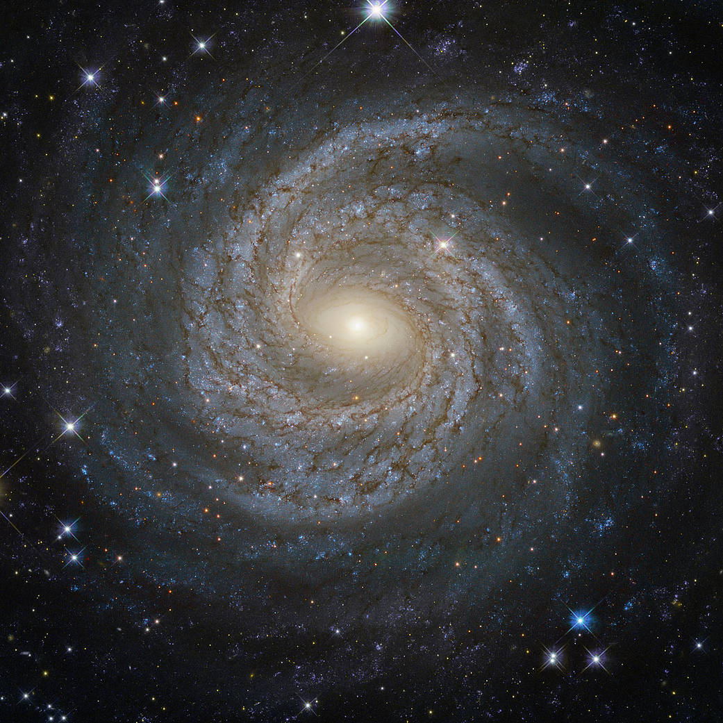 Spiral galaxy NGC 6814 with luminous arms and dark dust