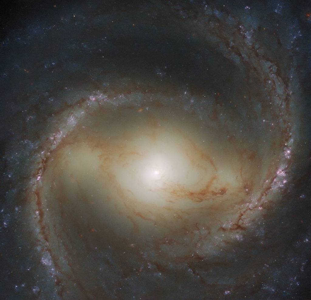 Barred Spiral Galaxy M91