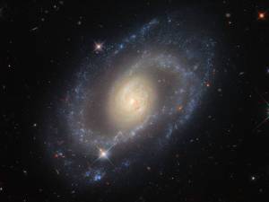 Hubble image of spiral galaxy Mrk 1337. Bright central bulge with two prominent spiral arms emerging from it.