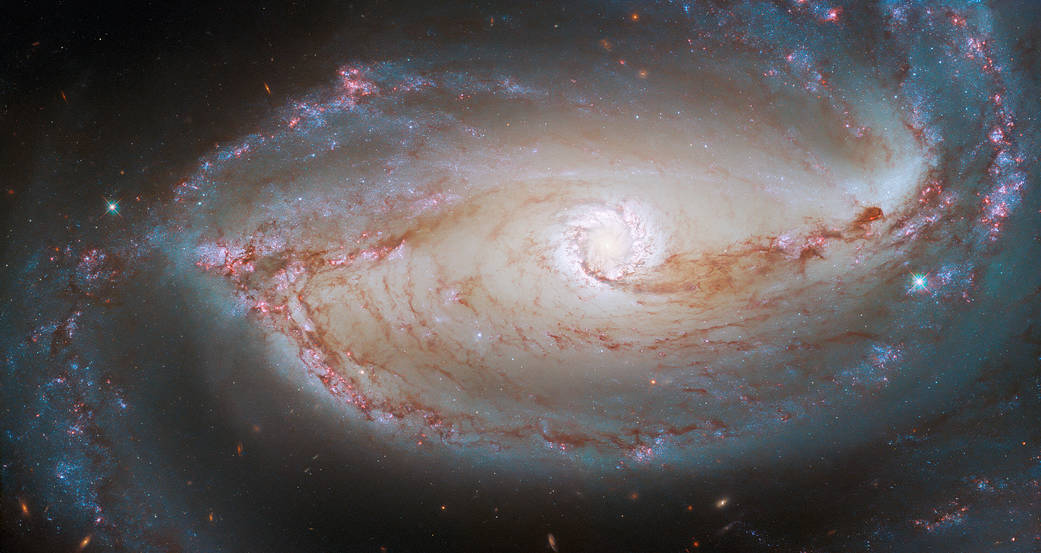 a large spiral galaxy fills the frame. reddish star-forming regions dot the tightly-wound  spiral arms