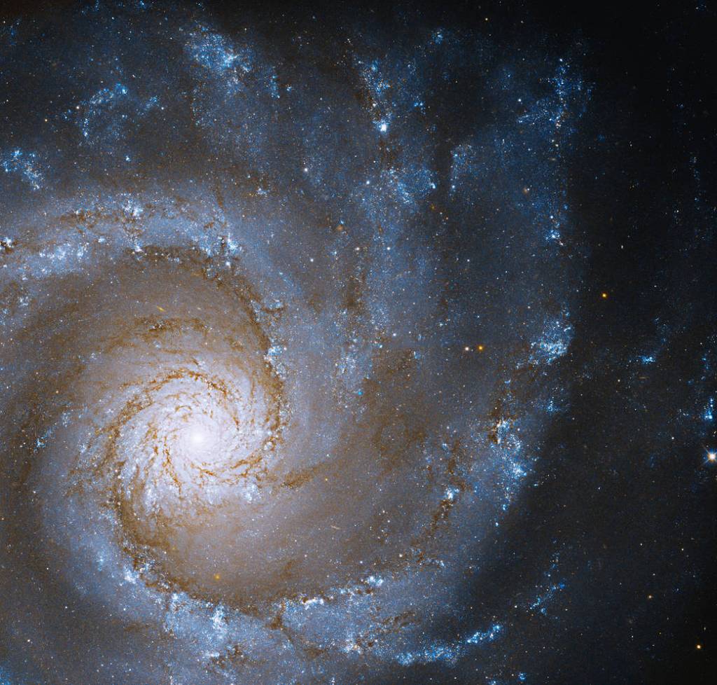 sublime face-on spiral galaxy whose central bulge of stars is at center left. Its spiral arms radiate out filling the image. Dark reddish-brown dust lanes line the inner part of the spiral arms.
