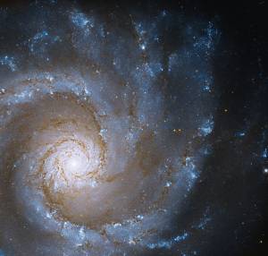 sublime face-on spiral galaxy whose central bulge of stars is at center left. Its spiral arms radiate out filling the image. Dark reddish-brown dust lanes line the inner part of the spiral arms.