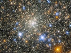 white, gold, red-orange, and blue stars fill the the image