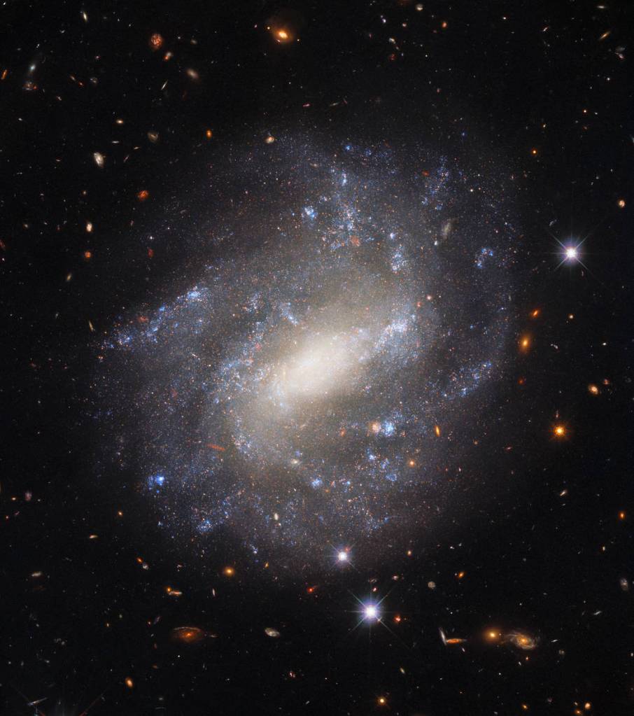 Bright spiral fills the scene. Its spiral arms are diffuse but evident. Bright blue-white star clusters dot its spiral arms.