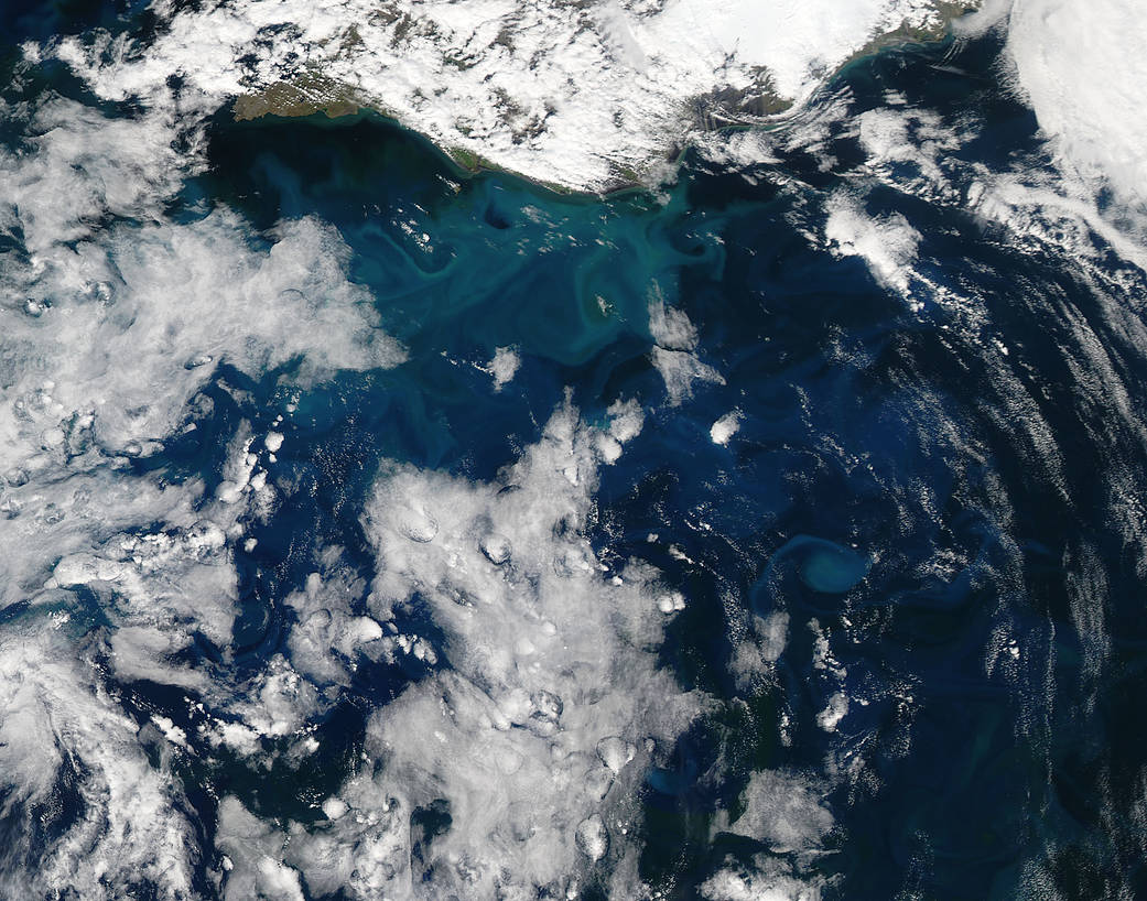 The Moderate Resolution Imaging Spectroradiometer (MODIS) aboard NASA’s Aqua satellite captured this true-color image on June 