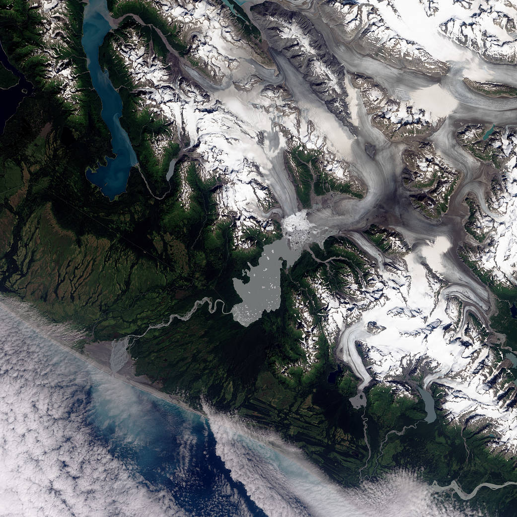 The Operational Land Imager on the Landsat 8 satellite captured this image of the Yakutat Glacier and Harlequin Lake on August 1