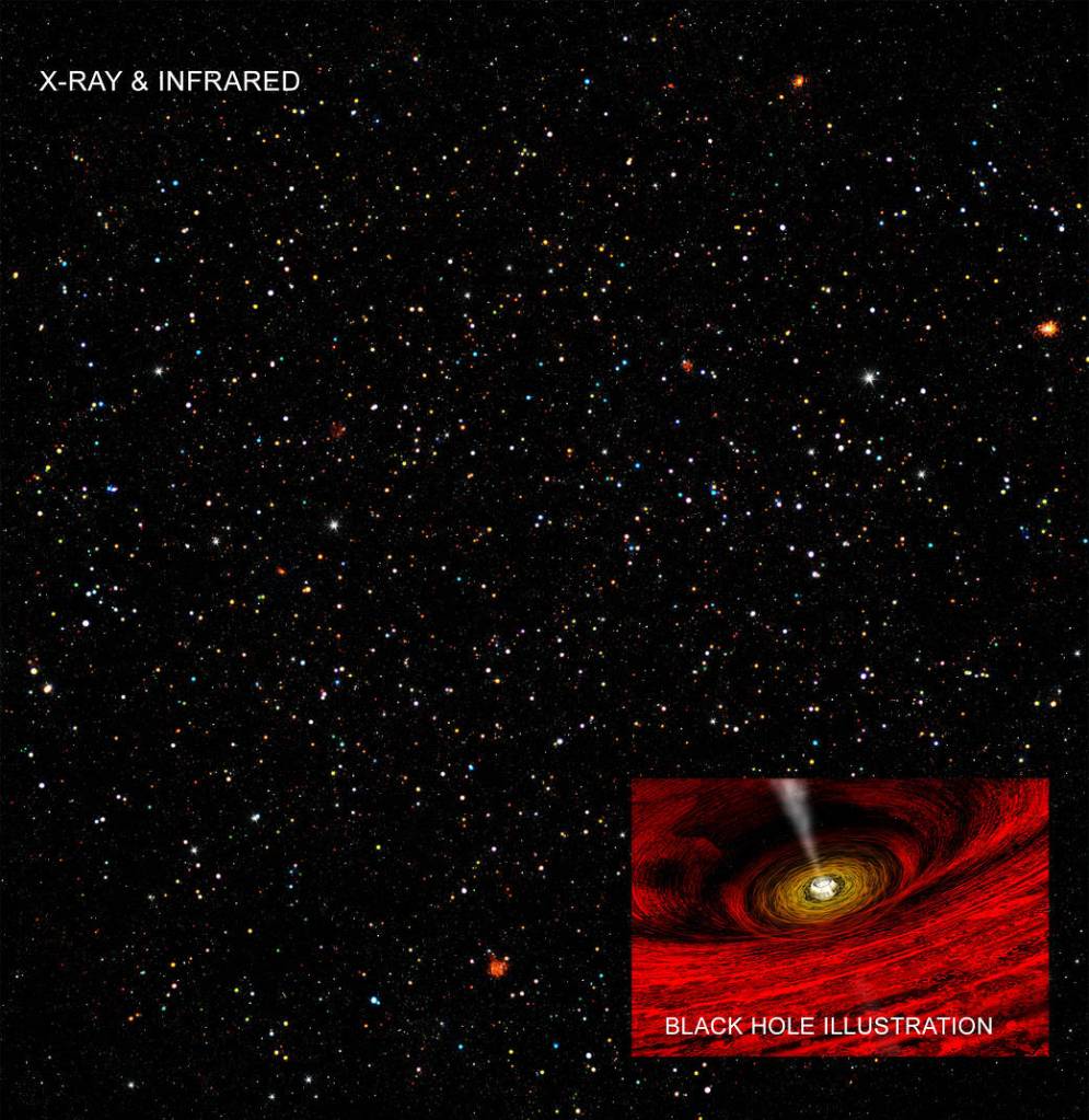 COSMOS Legacy Survey Shows Evidence of Intermediate-Mass Black Holes