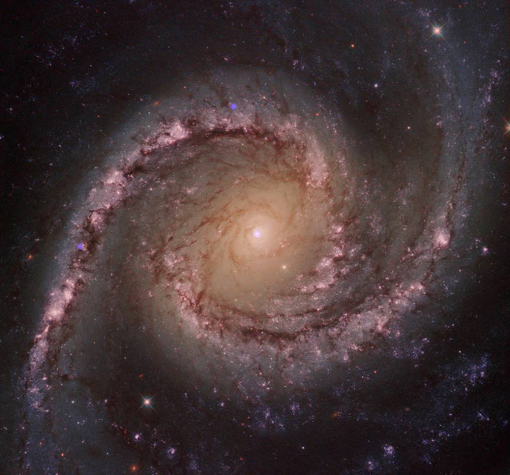 Composite Image of NGC 1566