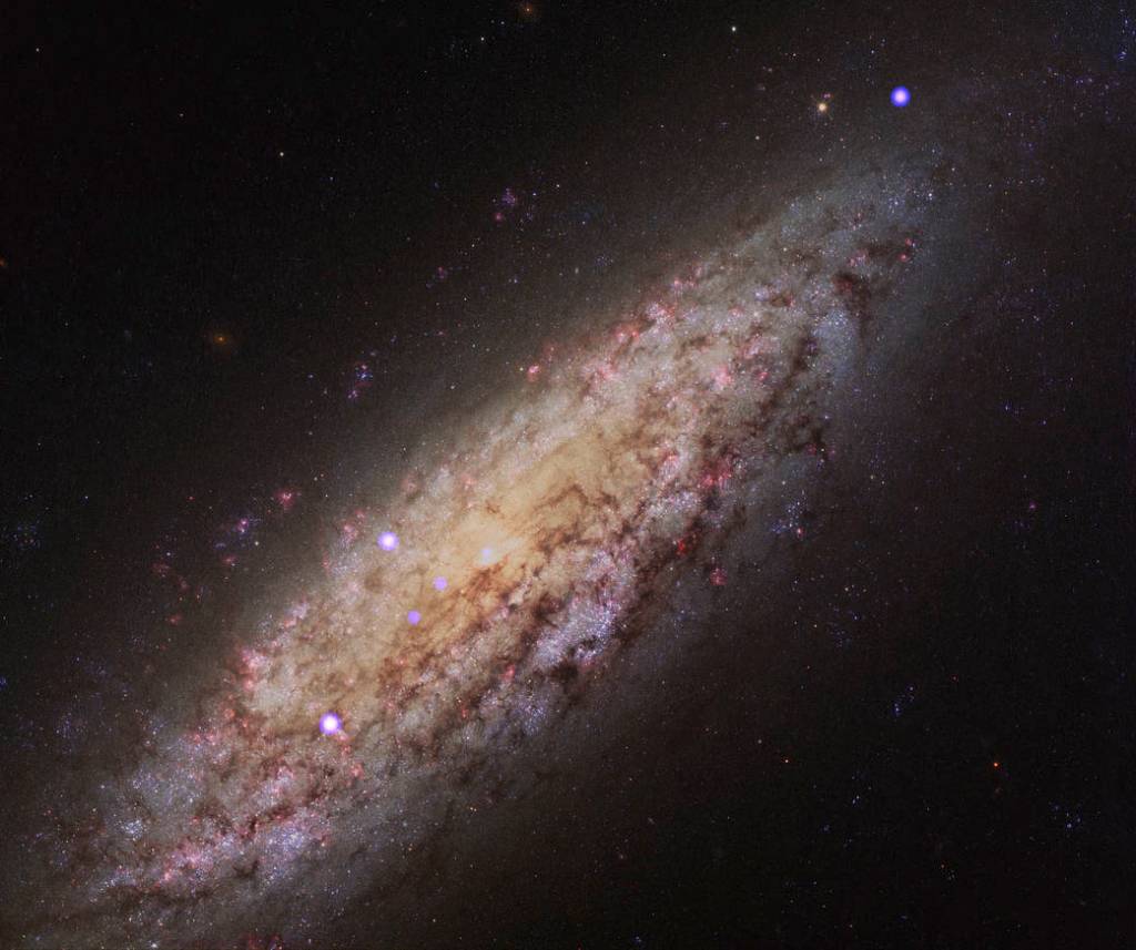 Composite Image of NGC 6503