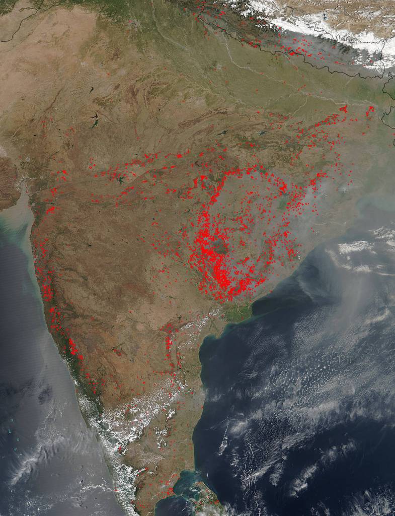 First Comes Fire Then Comes Crops in India