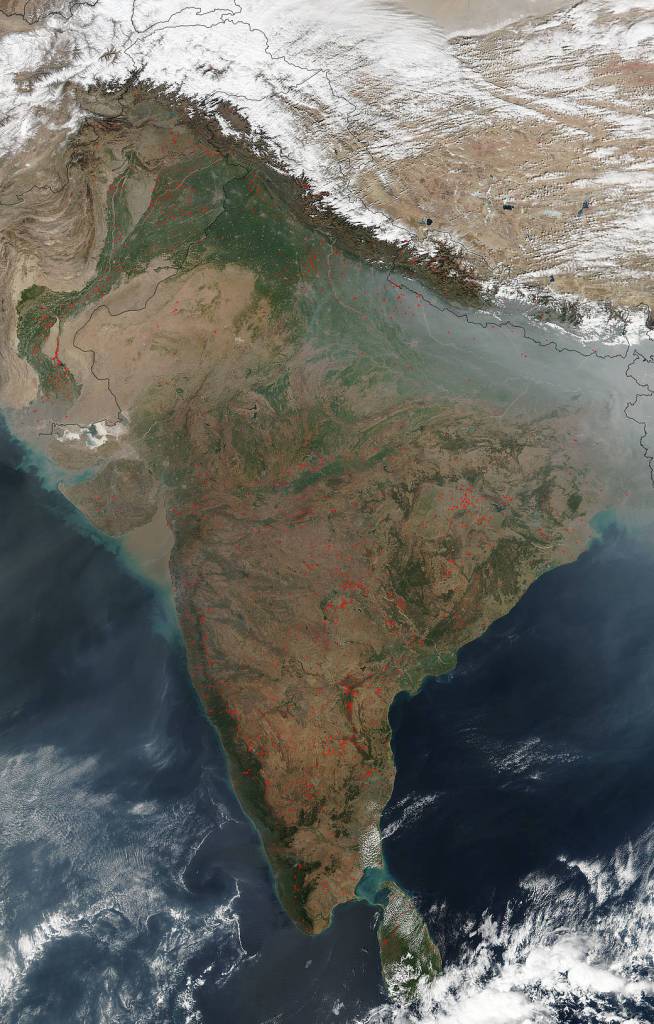 Most Likely Agricultural Fires Spotted in India and Pakistan