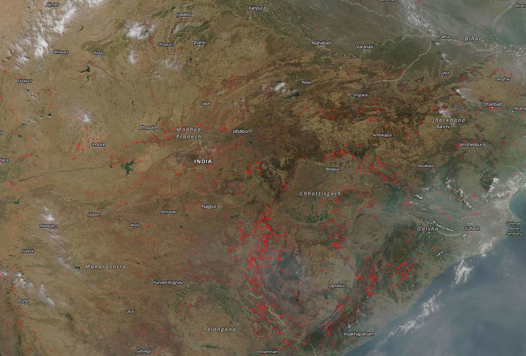 Fires in India