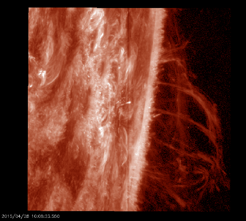 IRIS captures several large solar prominences on the edge of the sun