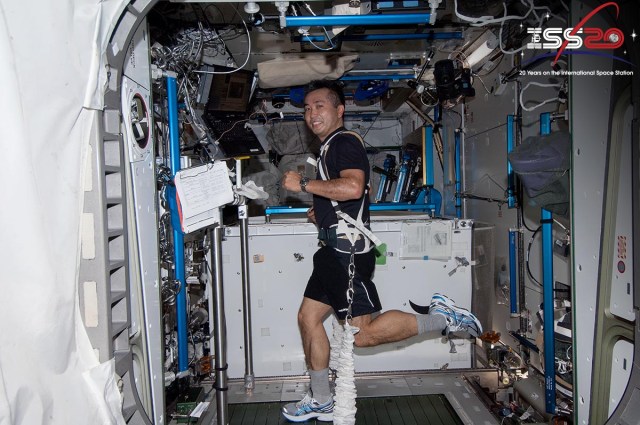 Astronaut exercises on the Combined Operational Load Bearing External Resistance Treadmill (COLBERT)