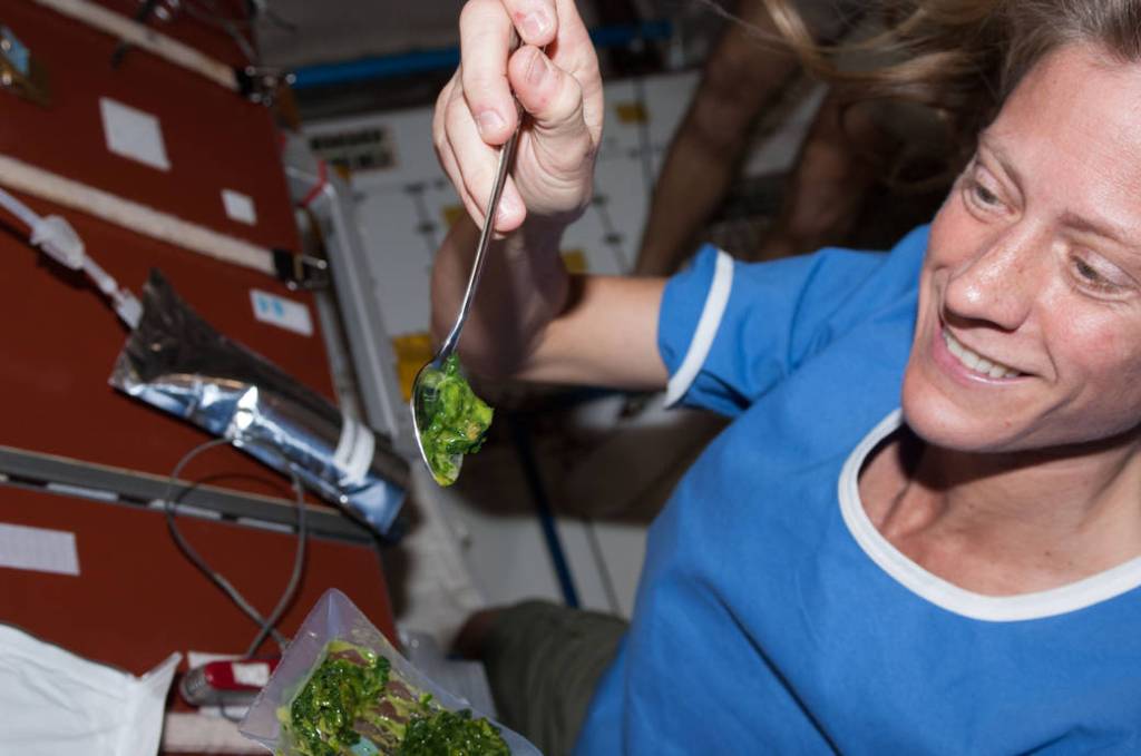 NASA astronaut Karen Nyberg