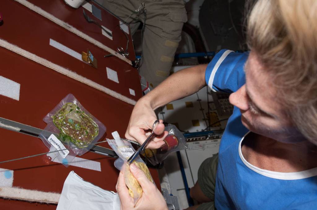 NASA astronaut Karen Nyberg