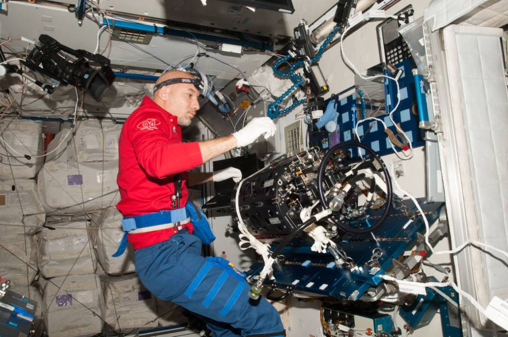 Luca Parmitano Works in the Harmony node