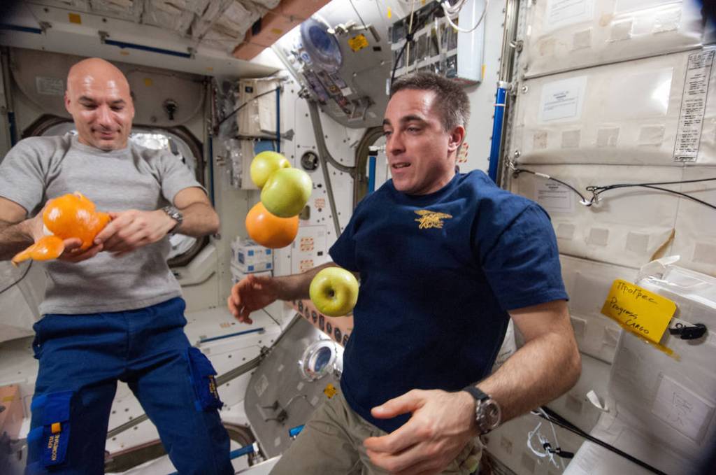 Astronauts Chris Cassidy and Luca Parmitano