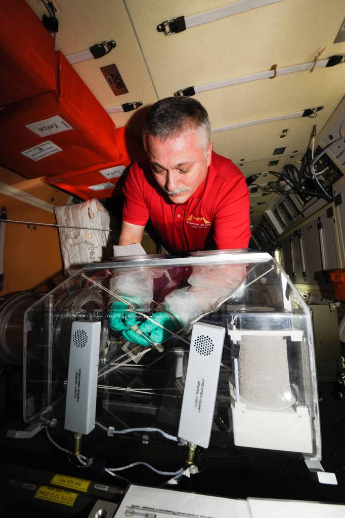 Cosmonaut Fyodor Yurchikhin