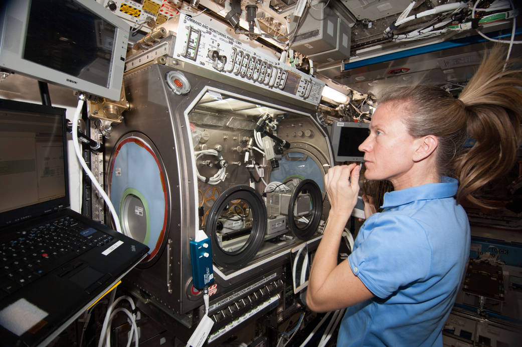 Astronaut Karen Nyberg With InSPACE-3