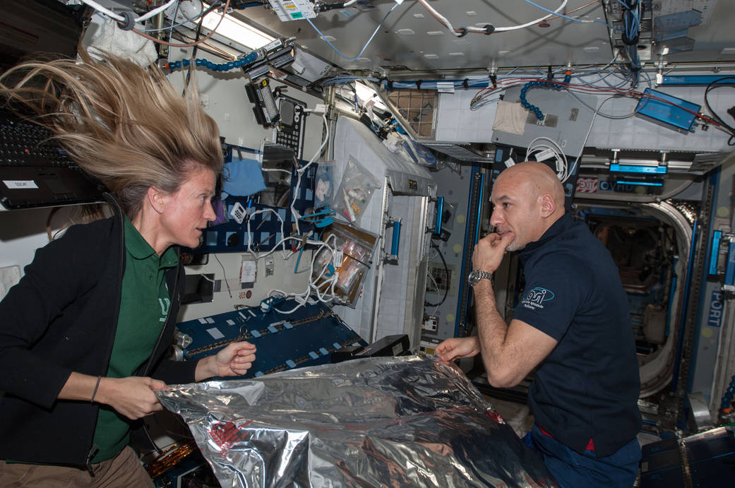 Astronauts Karen Nyberg and Luca Parmitano