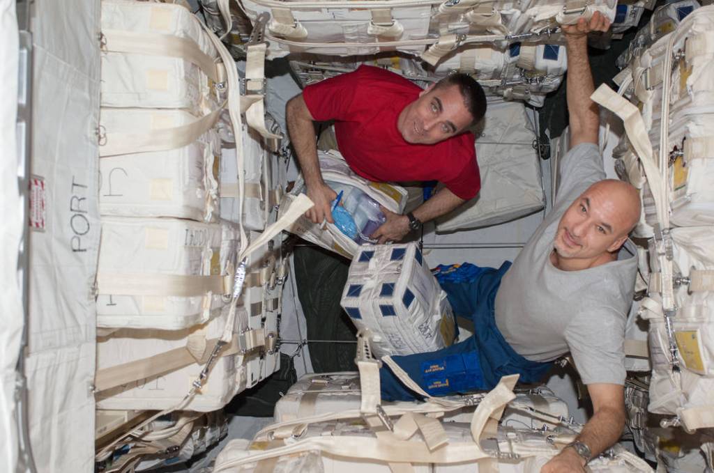 Astronauts Chris Cassidy and Luca Parmitano