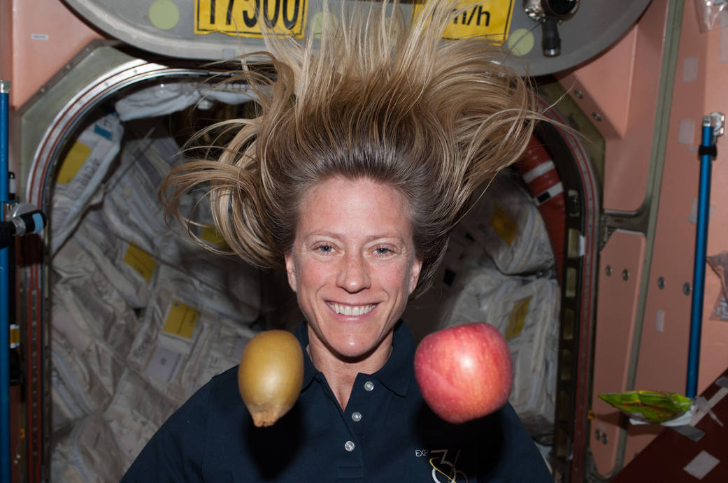 NASA Astronaut Karen Nyberg