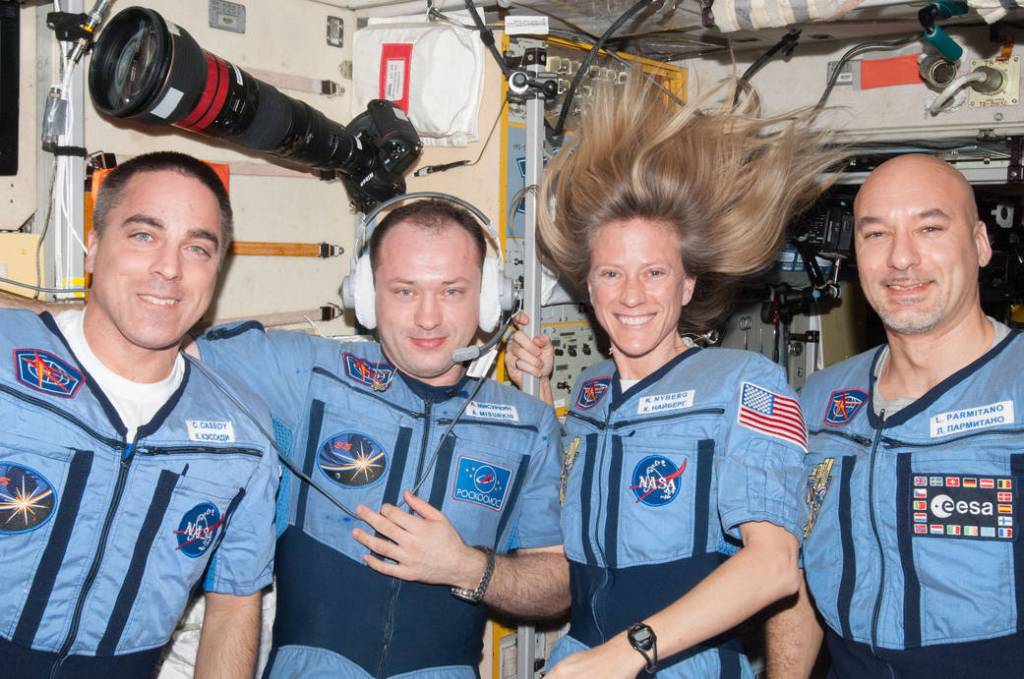 Expedition 36 Flight Engineers
