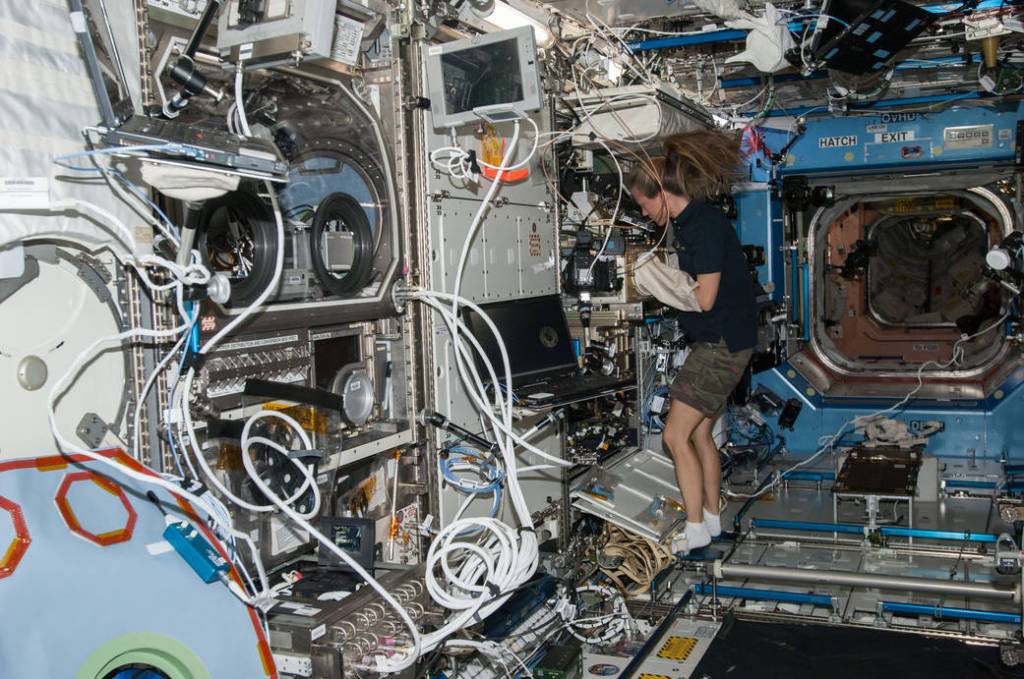 NASA astronaut Karen Nyberg