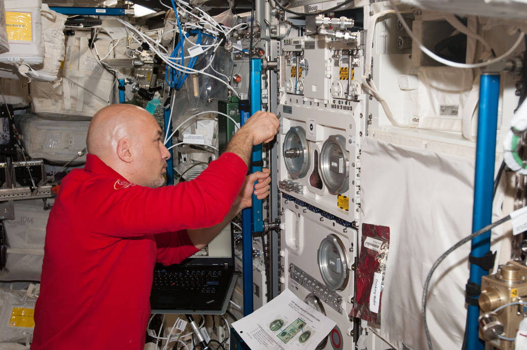 Luca Parmitano Works With Biolab