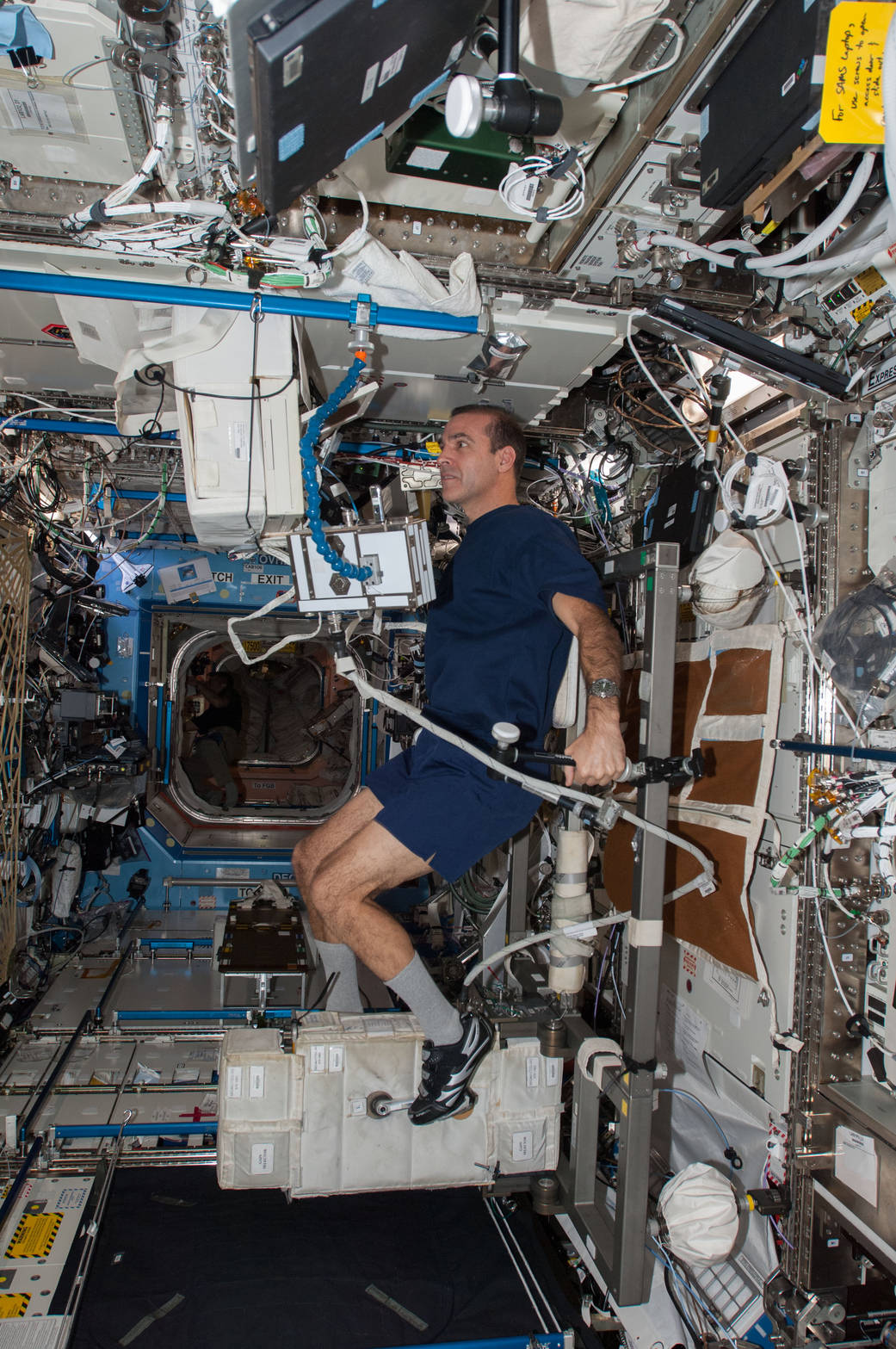 Astronaut Rick Mastracchio Exercises on CEVIS