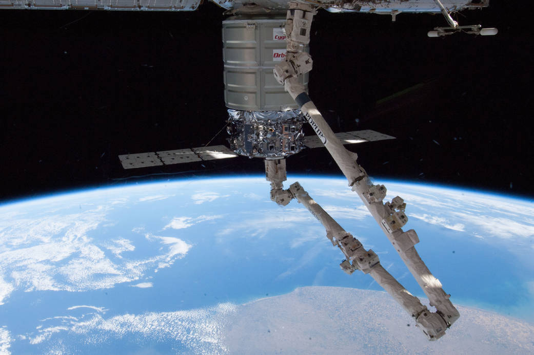 Cygnus
