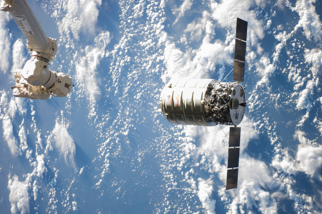 Cygnus