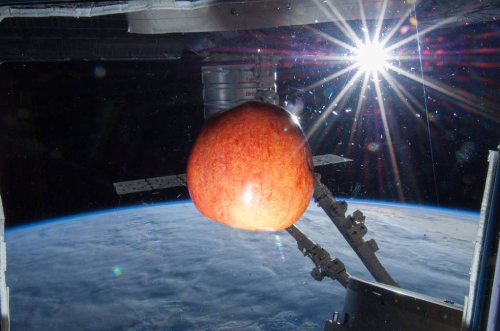 Fresh Fruit Delivery to Station
