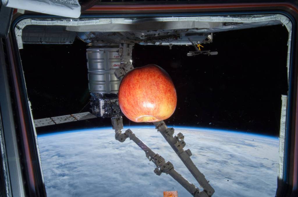 Fresh Apple and Cygnus