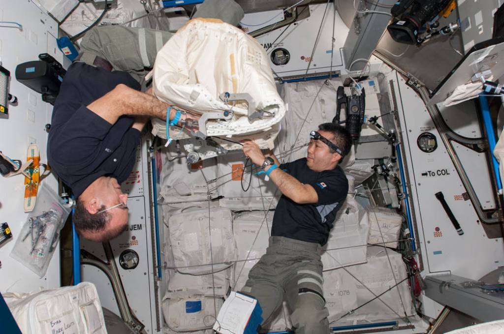 Rick Mastracchio and Koichi Wakata Inside Cygnus