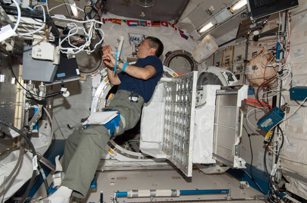 Koichi Wakata Prepares to Install a Cubesat Deployer
