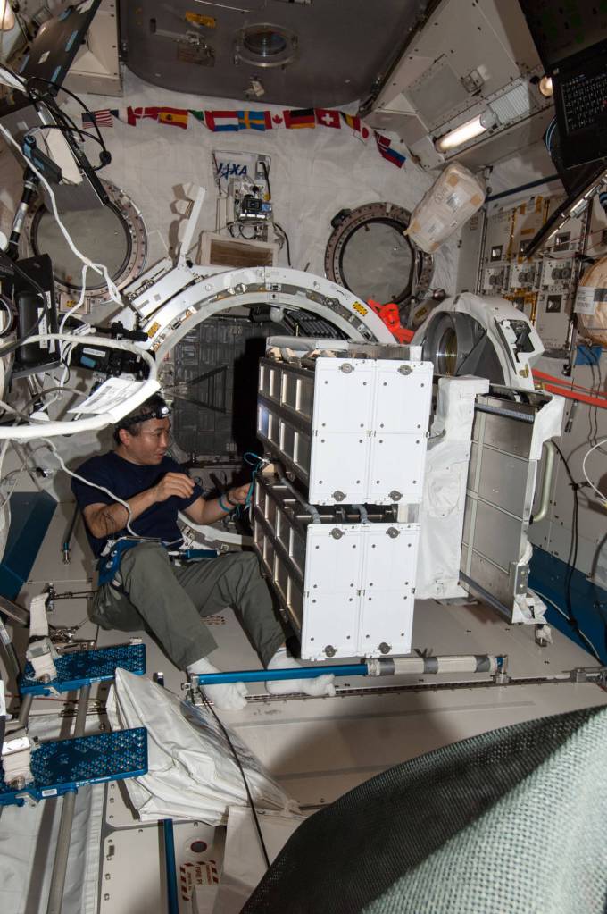 Astronaut Koichi Wakata Prepares CubeSat Deployer