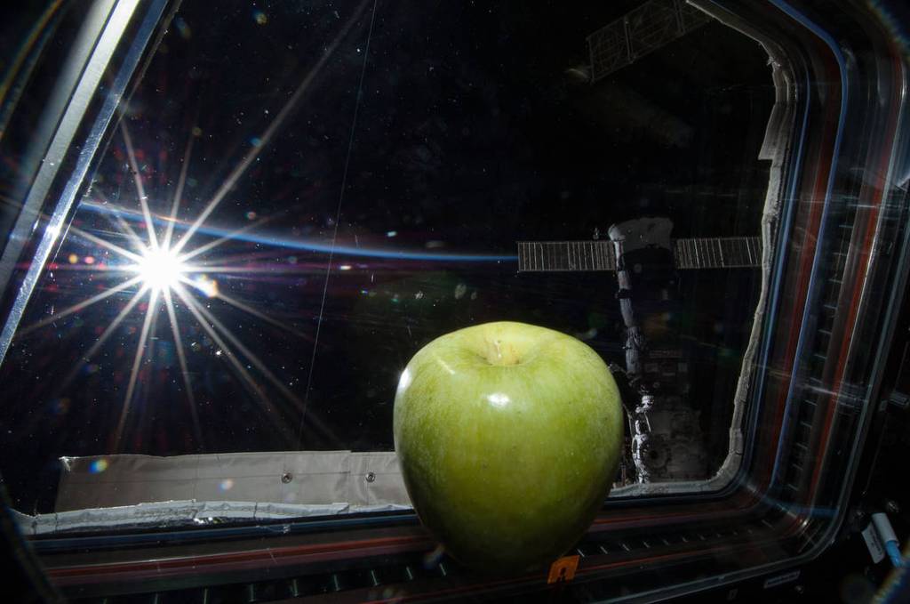 Fresh Fruit Inside Station Cupola