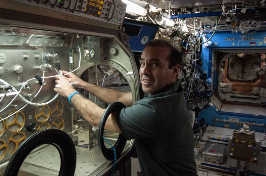 Astronaut Rick Mastracchio With Microgravity Science Glovebox