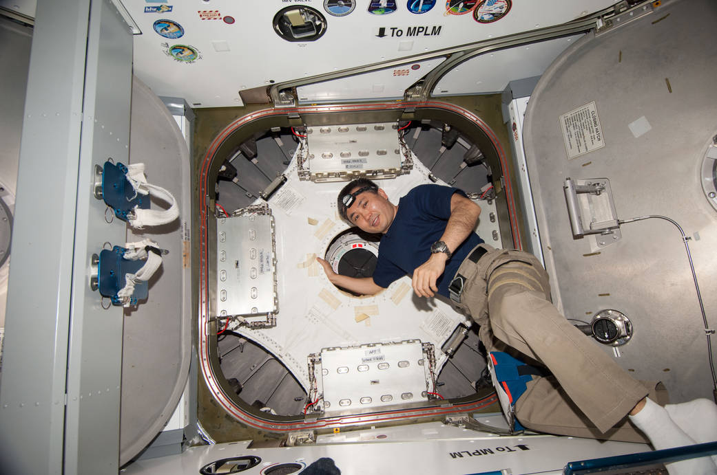 Astronaut Koichi Wakata