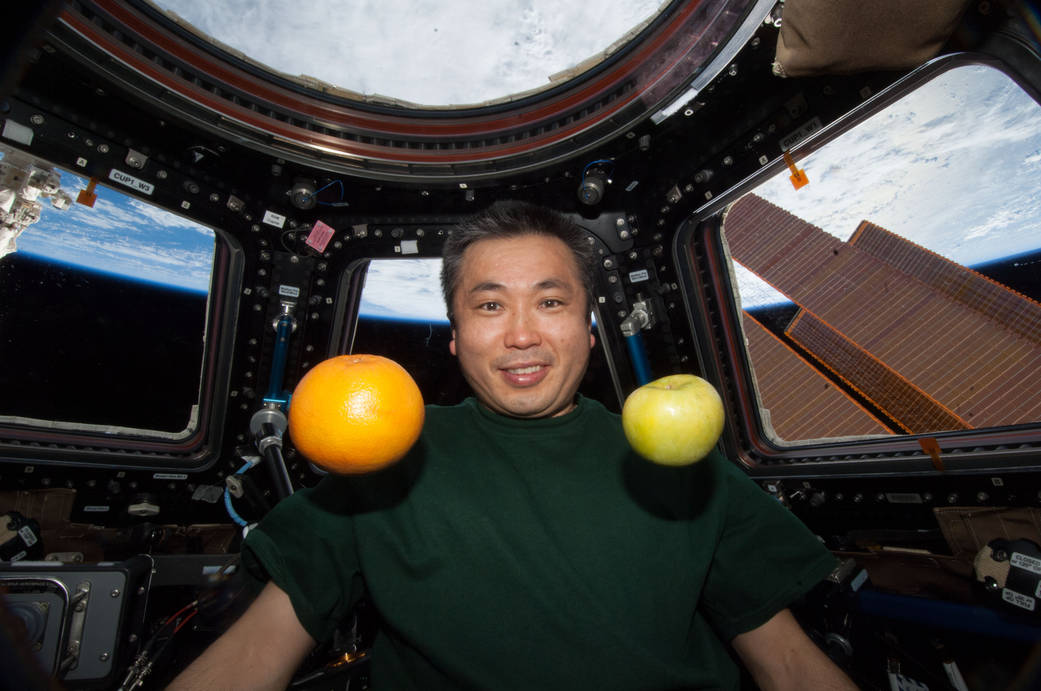 Koichi Wakata with Fresh Fruit