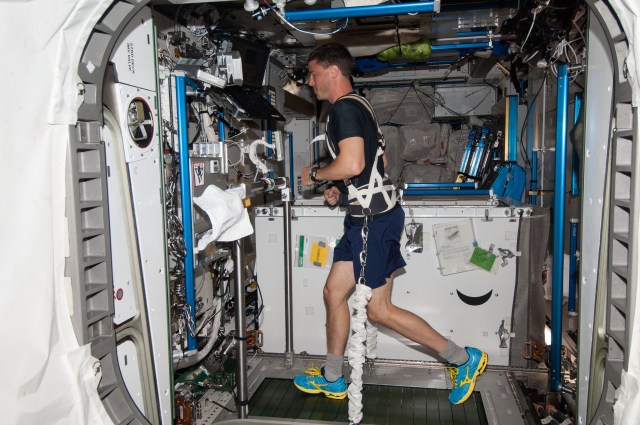 NASA astronaut exercises on the T2 treadmill.