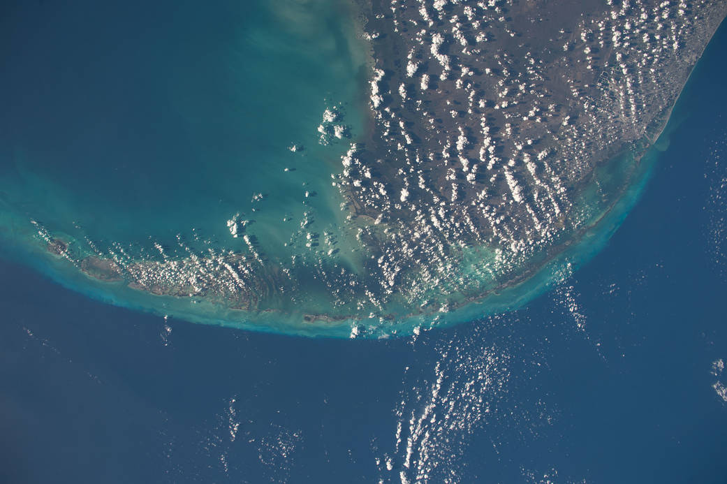 Sunny Day in the Caribbean