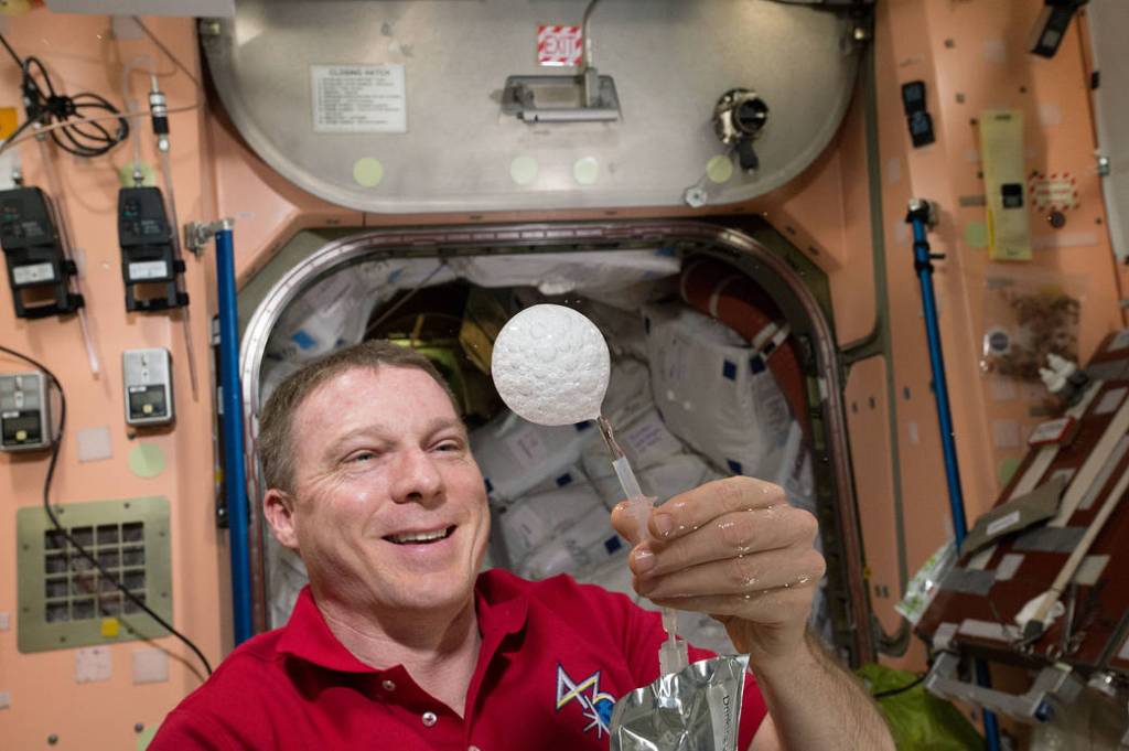 Expedition 43 Commander Terry Virts