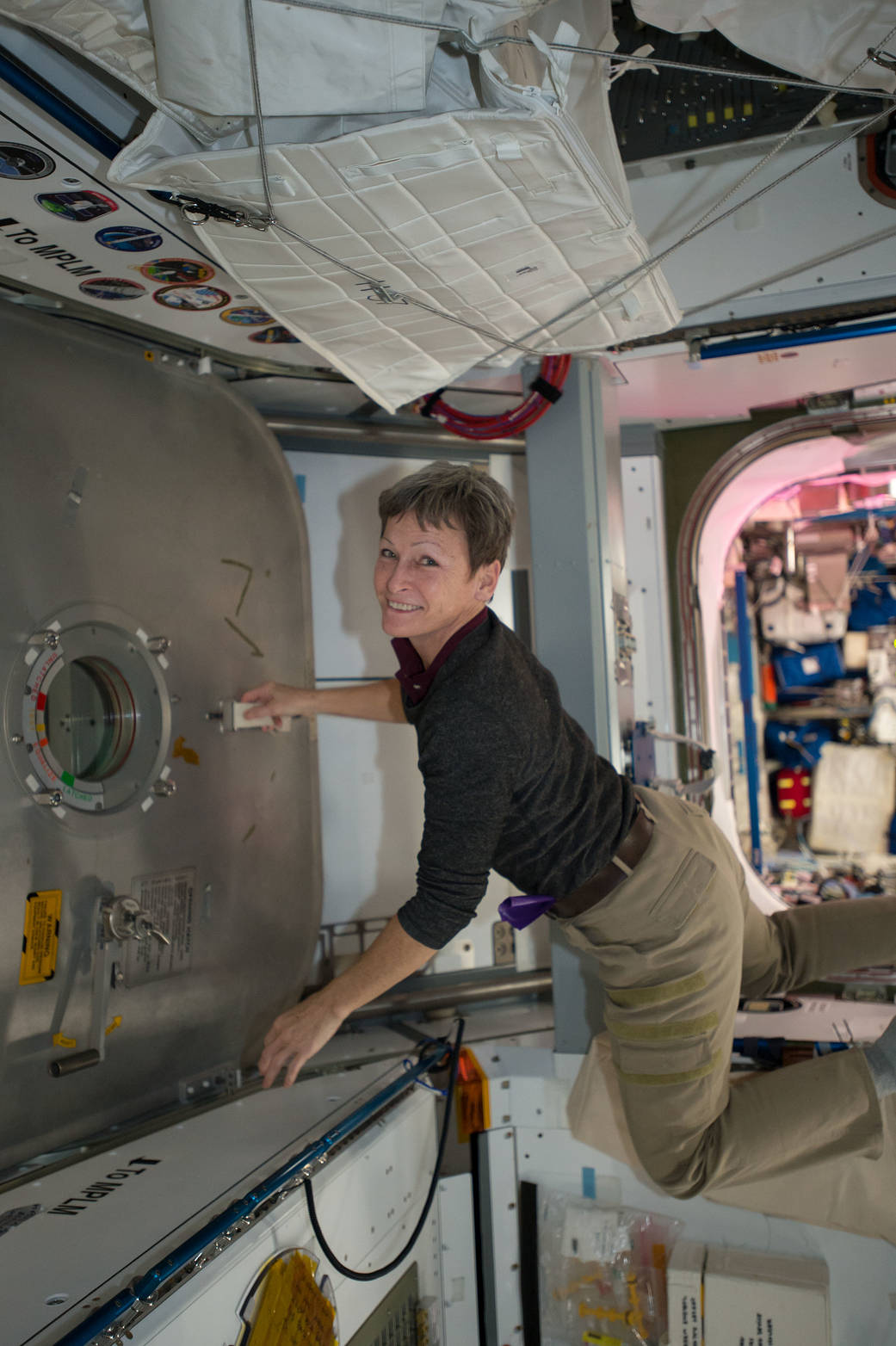 Expedition 50 Astronaut Peggy Whitson