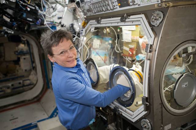 NASA astronaut Peggy Whitson works inside the Microgravity Science Glovebox