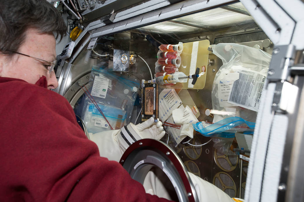 NASA astronaut Peggy Whitson works inside the Microgravity Science Glovebox
