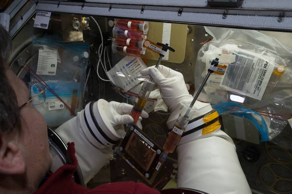 NASA astronaut Peggy Whitson works inside the Microgravity Science Glovebox