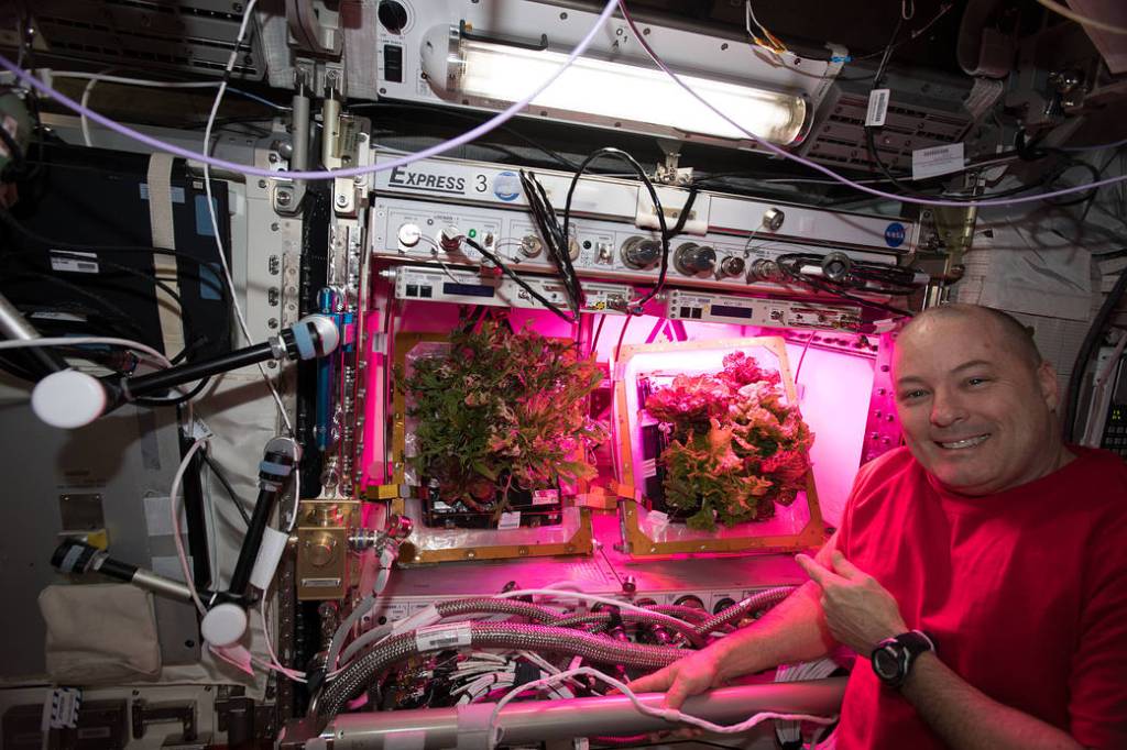 Astronaut Scott Tingle Tends Plants Inside Veggie
